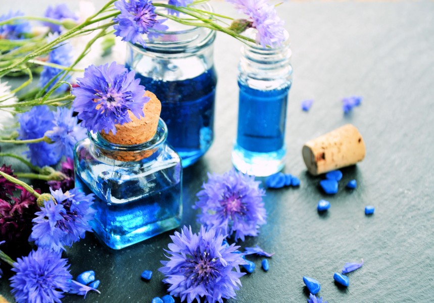 Eau de bleuet : quels sont ses bienfaits ?